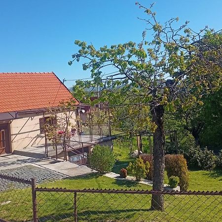 Holiday In The National Park Lovcen Cetinje Exterior foto