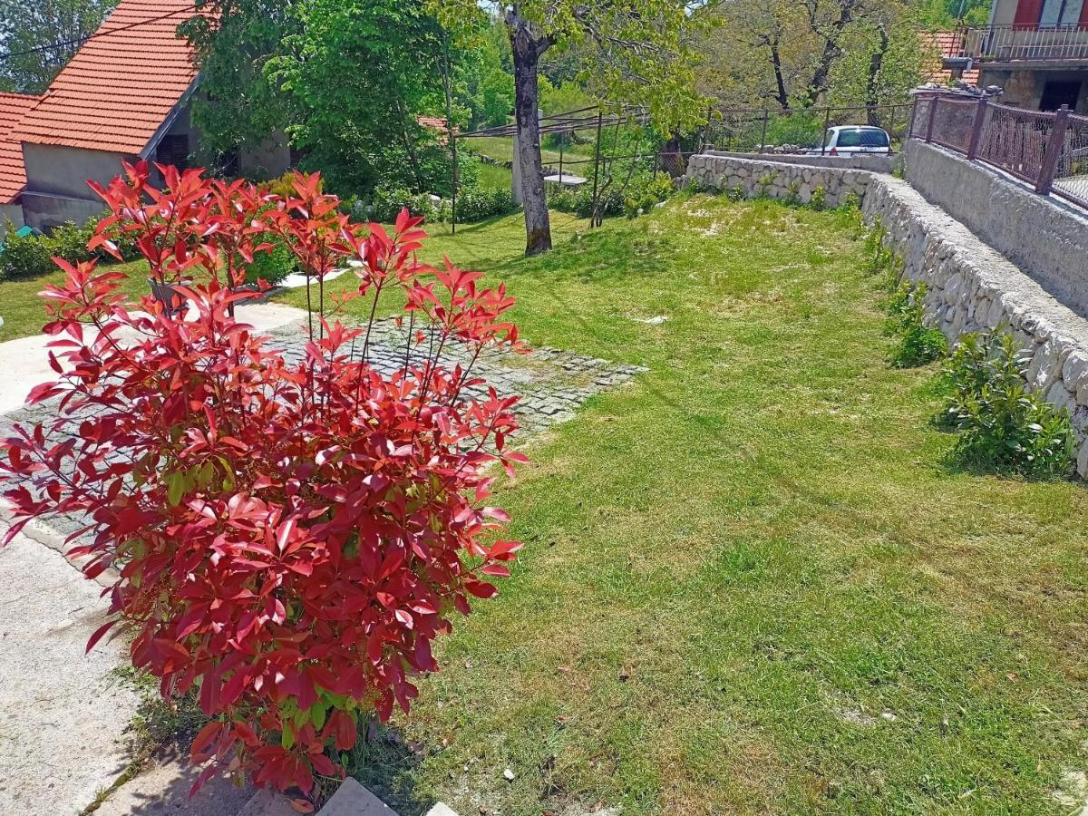 Holiday In The National Park Lovcen Cetinje Exterior foto